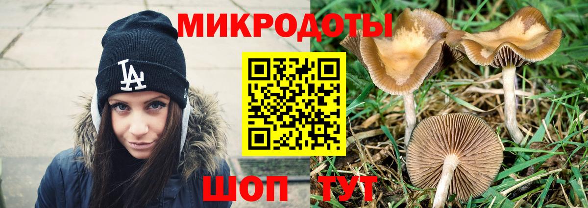 Ковров  Галлюциногенные грибы мухоморы  Вход с VPN  Галлюциногенные грибы прущие грибы 